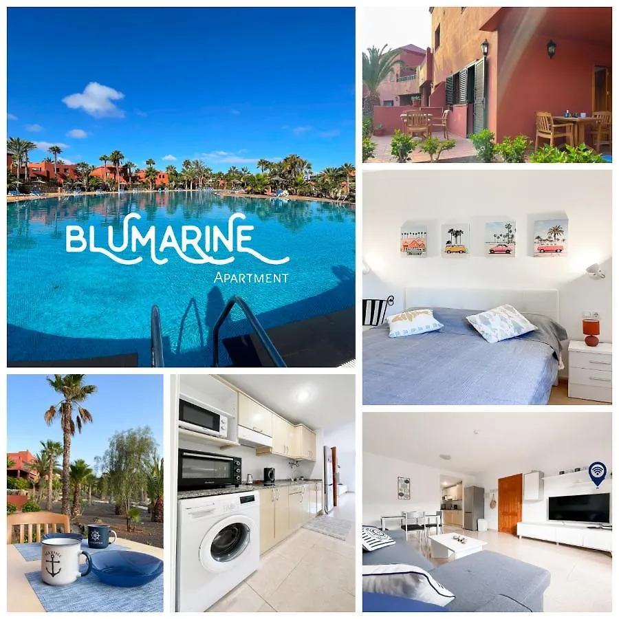 Apartamento Tamarindo Blumarine - Pool & Wifi Free 4 Persons Corralejo
