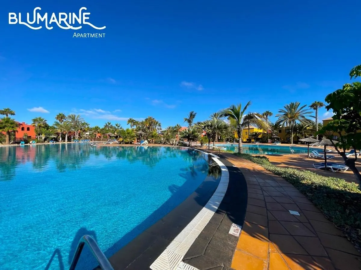 Apartamento Tamarindo Blumarine - Pool & Wifi Free 4 Persons Corralejo España