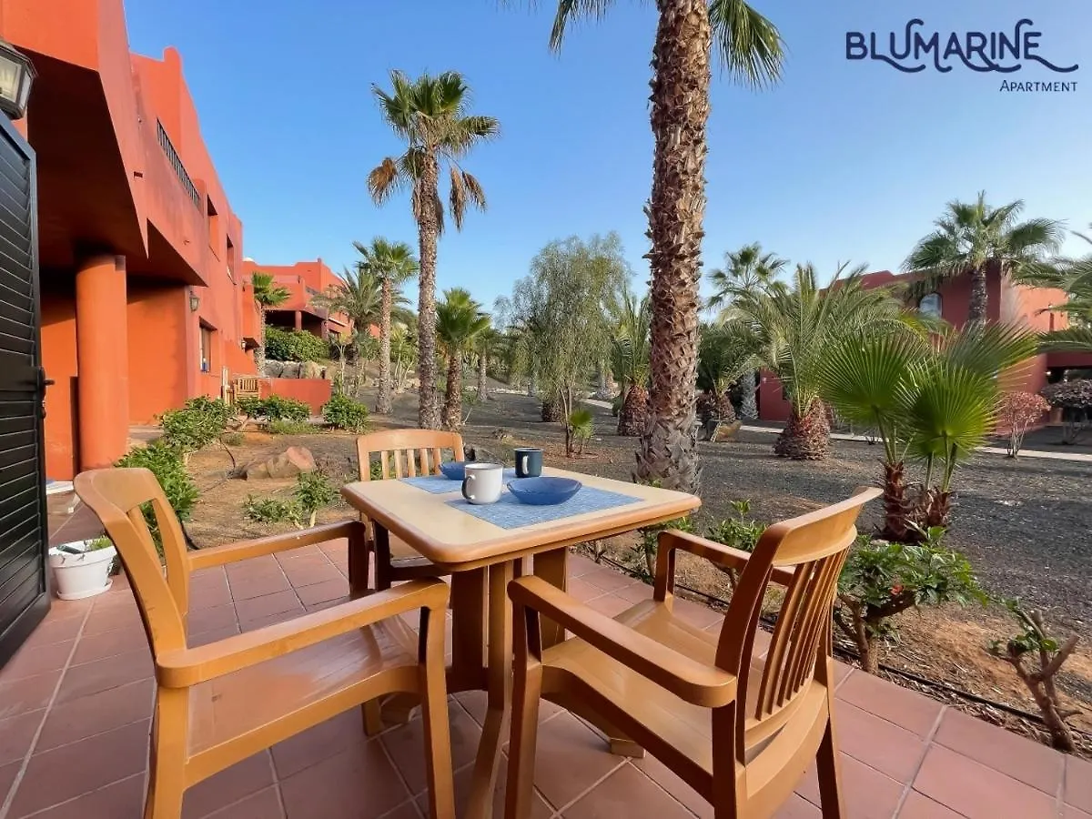 Apartamento Tamarindo Blumarine - Pool & Wifi Free 4 Persons Corralejo 0*,  España
