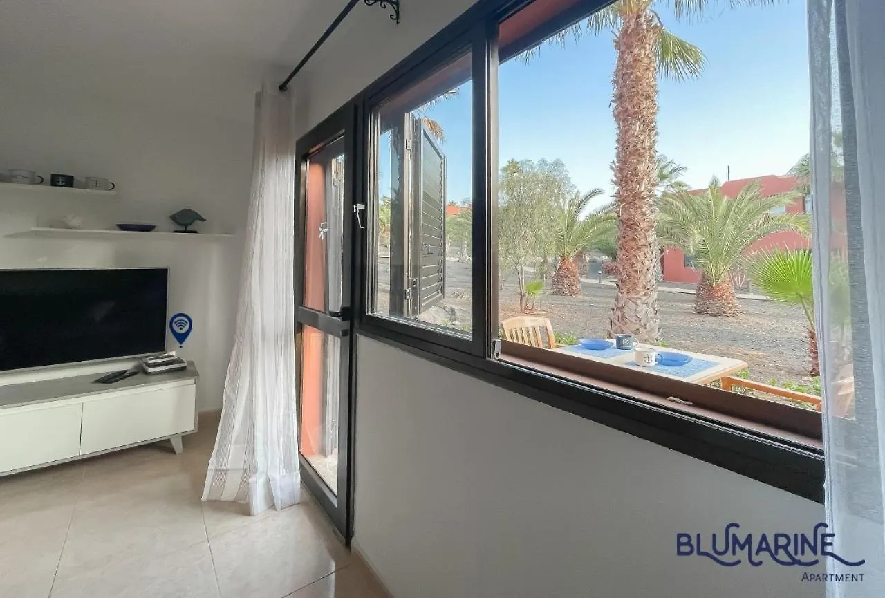 Apartamento Tamarindo Blumarine - Pool & Wifi Free 4 Persons Corralejo 0*,  España