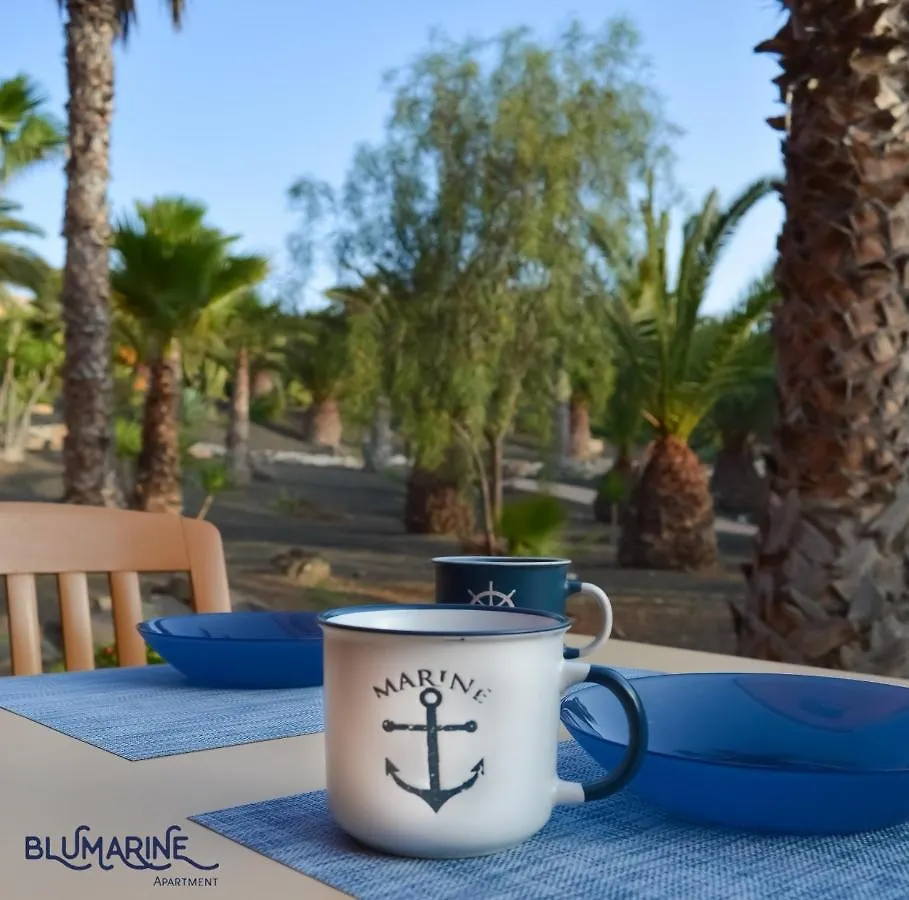 Apartamento Tamarindo Blumarine - Pool & Wifi Free 4 Persons Corralejo