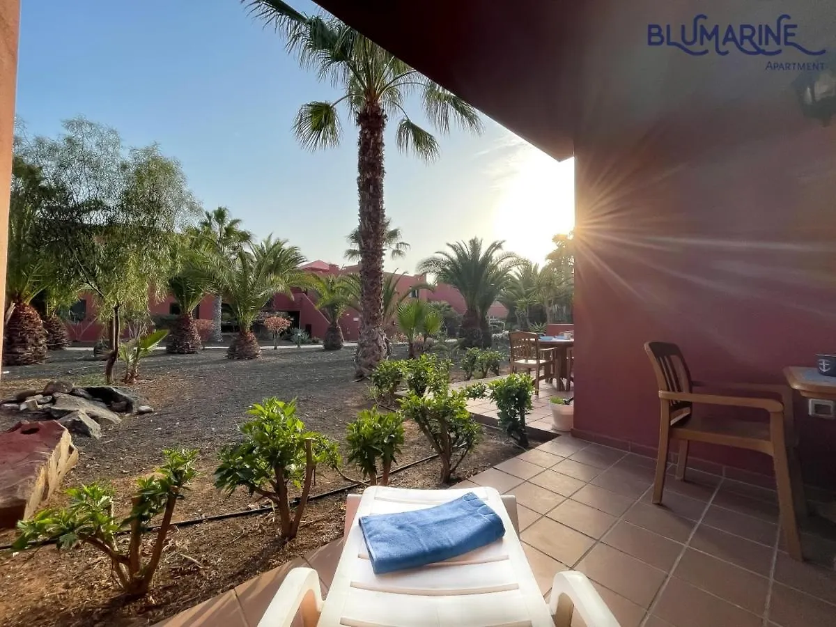 Tamarindo Blumarine - Pool & Wifi Free 4 Persons Apartment Corralejo 0*,