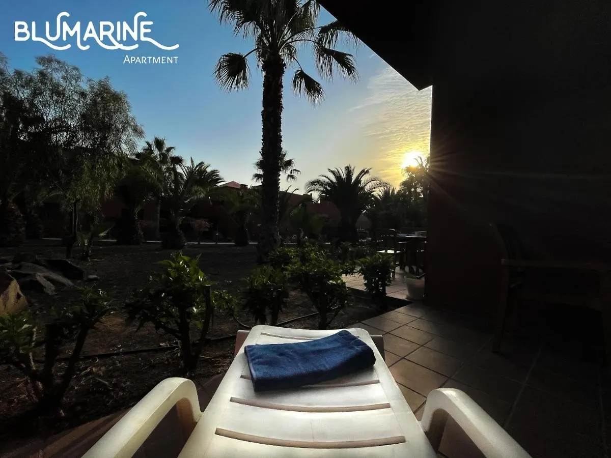 Tamarindo Blumarine - Pool & Wifi Free 4 Persons Apartment Corralejo