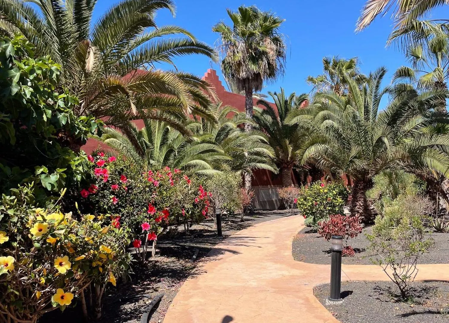 Apartamento Tamarindo Blumarine - Pool & Wifi Free 4 Persons Corralejo